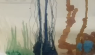 garden.png